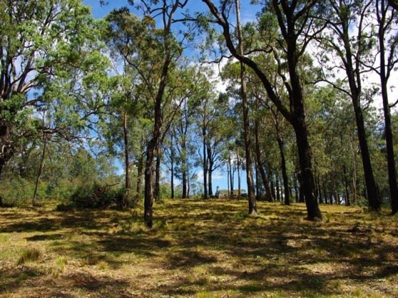 1/ Yowrie Road, COBARGO, Cobargo - Thumbnail 3