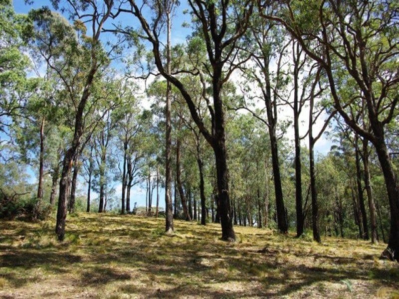 1/ Yowrie Road, COBARGO, Cobargo - Thumbnail 6