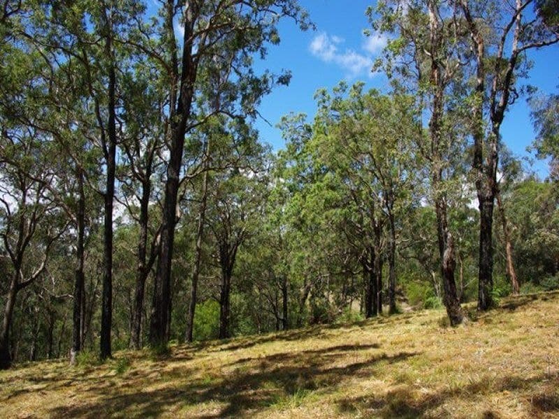 1/ Yowrie Road, COBARGO, Cobargo - Thumbnail 7