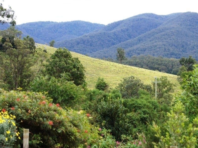 145 Buckley's Road, Bemboka, Bemboka - Thumbnail 6