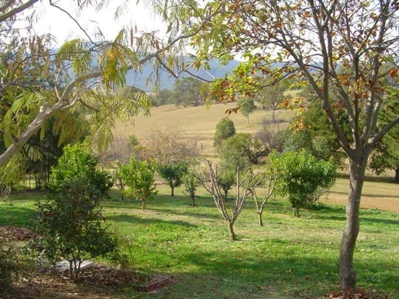 48 Robertson Street Bemboka NSW, Bemboka - Image 1