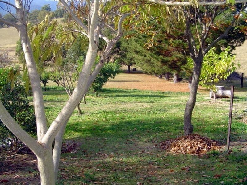 48 Robertson Street Bemboka NSW, Bemboka - Thumbnail 2