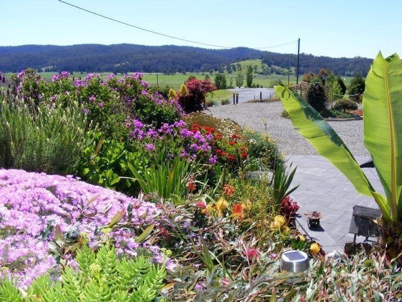72 Darcy Lane, Bega, Bega - Thumbnail 5