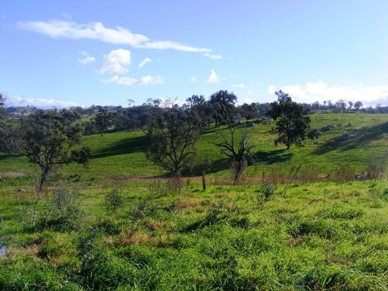Lot 1 Herganhan's Lane Angledale NSW, Angledale - Thumbnail 2