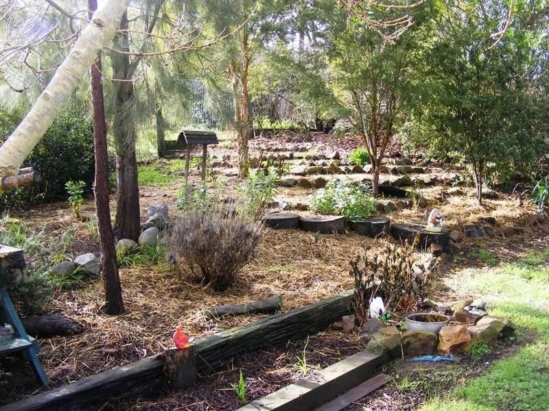 8 Wolumla Road Candelo NSW, Candelo - Image 1