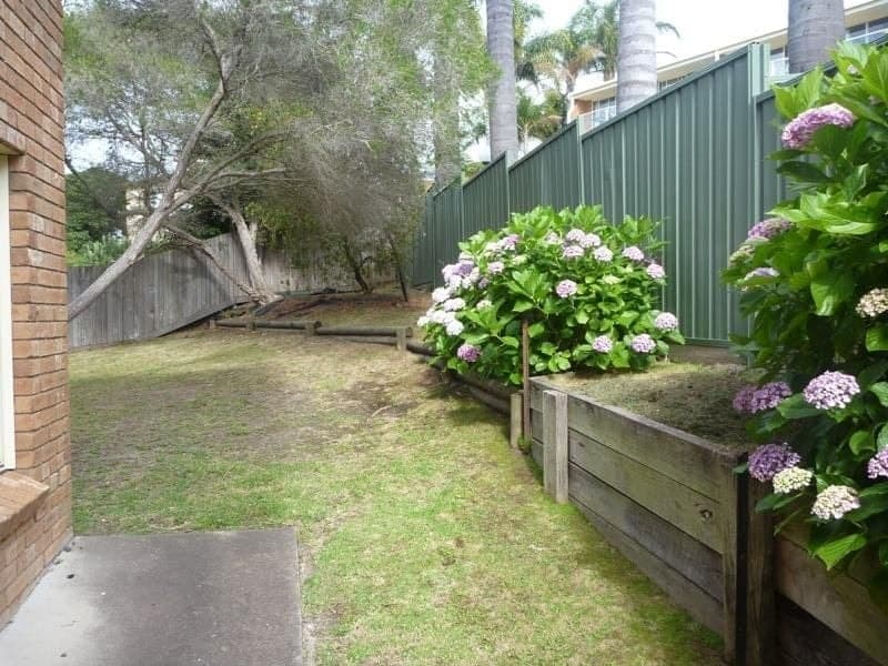 1/19 Park Street, Merimbula, Merimbula - Thumbnail 3