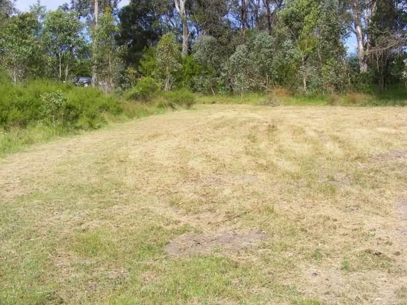 24 Clarke Street Wolumla NSW, Wolumla - Image 1