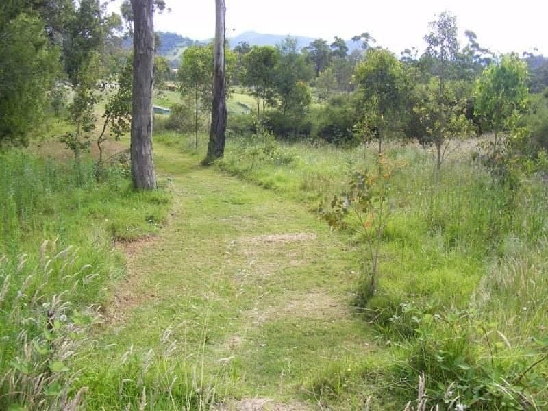 24 Clarke Street Wolumla NSW, Wolumla - Thumbnail 2