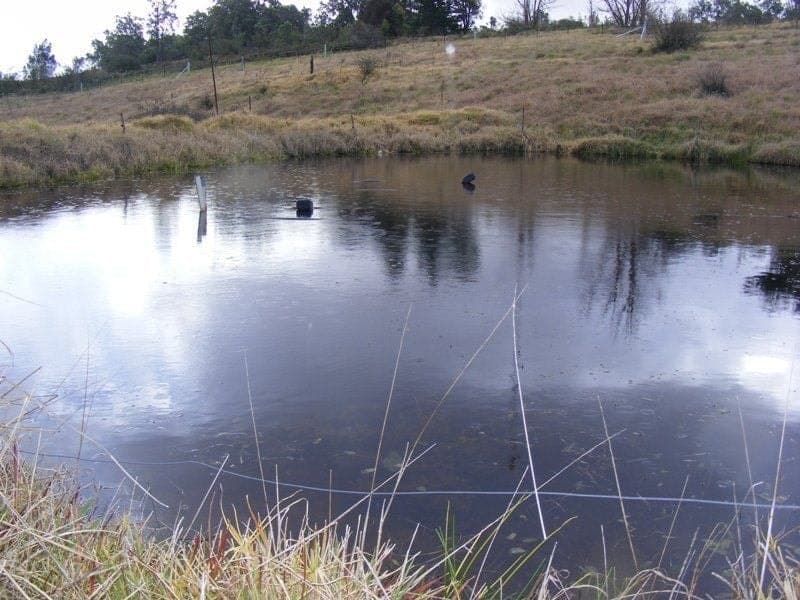 42 Nelba Nelba Road, Bega, Bega - Thumbnail 2