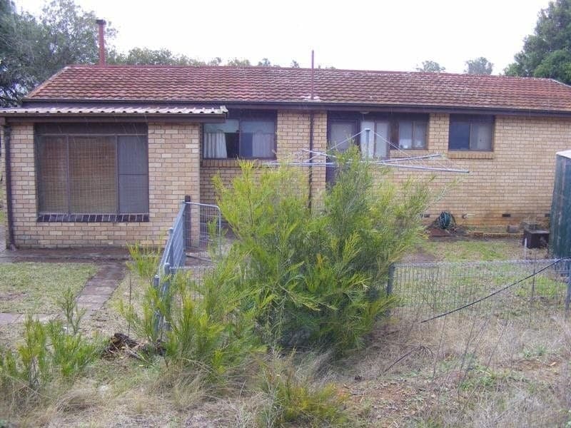 42 Nelba Nelba Road, Bega, Bega - Thumbnail 4