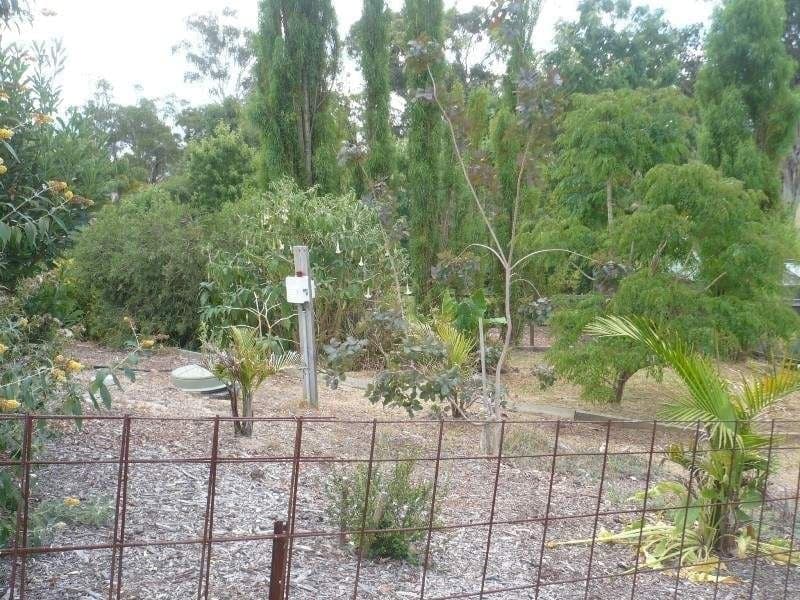 9-Nov Clarke Street Wolumla NSW, Wolumla - Thumbnail 3