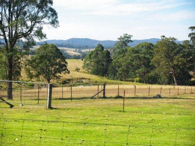 305 Upper Brogo Road, COBARGO, Cobargo - Image 1