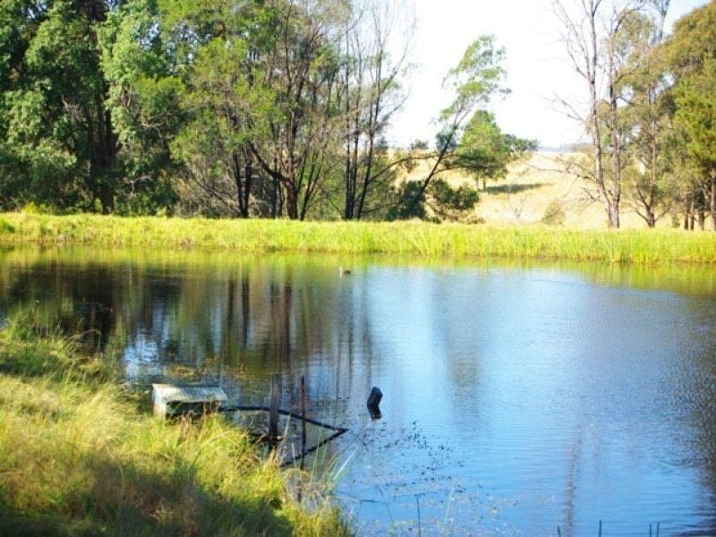 305 Upper Brogo Road, COBARGO, Cobargo - Thumbnail 7