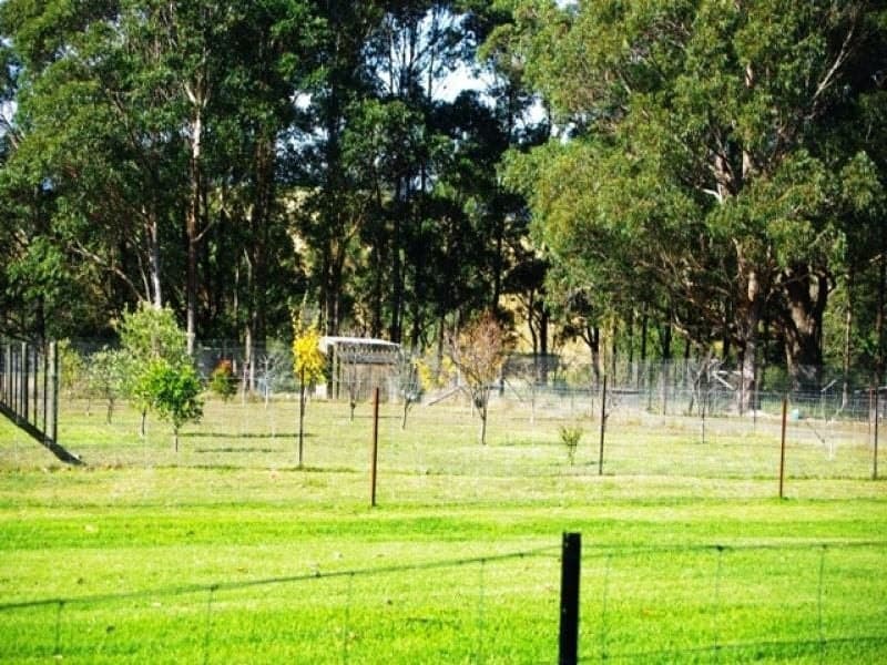 305 Upper Brogo Road, QUAAMA, Quaama - Thumbnail 2