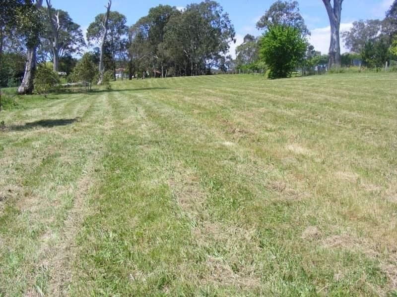 Lot 4 Corridgeree Road Tarraganda NSW, Tarraganda - Thumbnail 4
