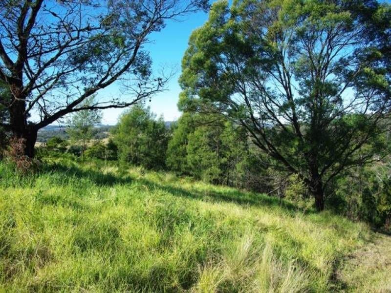 Lot 320 County Boundary Road COBARGO NSW, Cobargo - Thumbnail 2