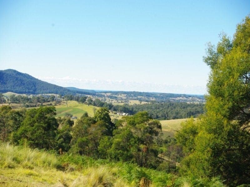 Lot 320 County Boundary Road COBARGO NSW, Cobargo - Thumbnail 3