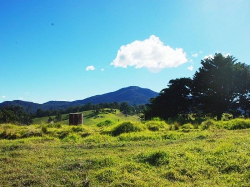 Lot 320 County Boundary Road COBARGO NSW, Cobargo - Thumbnail 8