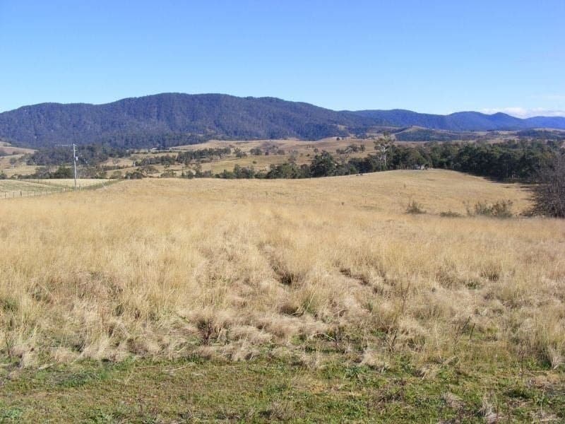 Lot 12 Tarlingtons Lane Candelo NSW, Candelo - Thumbnail 3