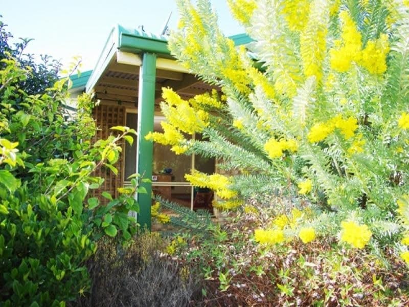 15 Murrah Street, BERMAGUI, Bermagui - Thumbnail 2