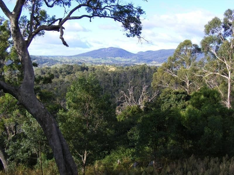 624 Warrigal Range Road, Brogo, Brogo - Thumbnail 5
