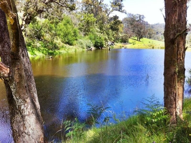 624 Warrigal Range Road, Brogo, Brogo - Thumbnail 6