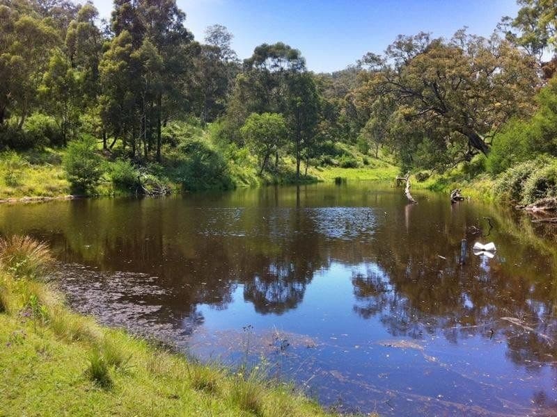 624 Warrigal Range Road, Brogo, Brogo - Thumbnail 7
