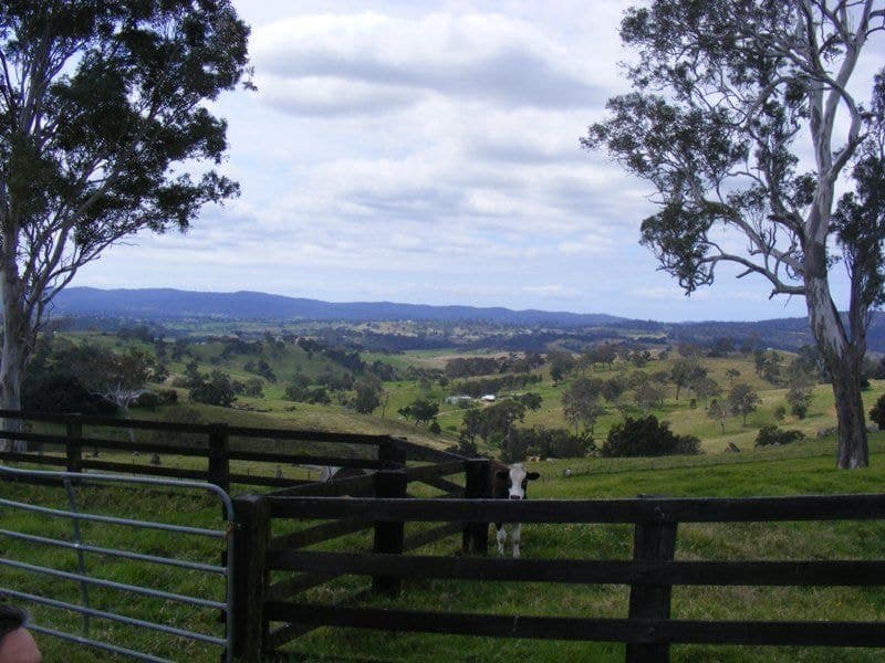 Lot 430 Brianderry Road Buckajo NSW, Buckajo - Thumbnail 2