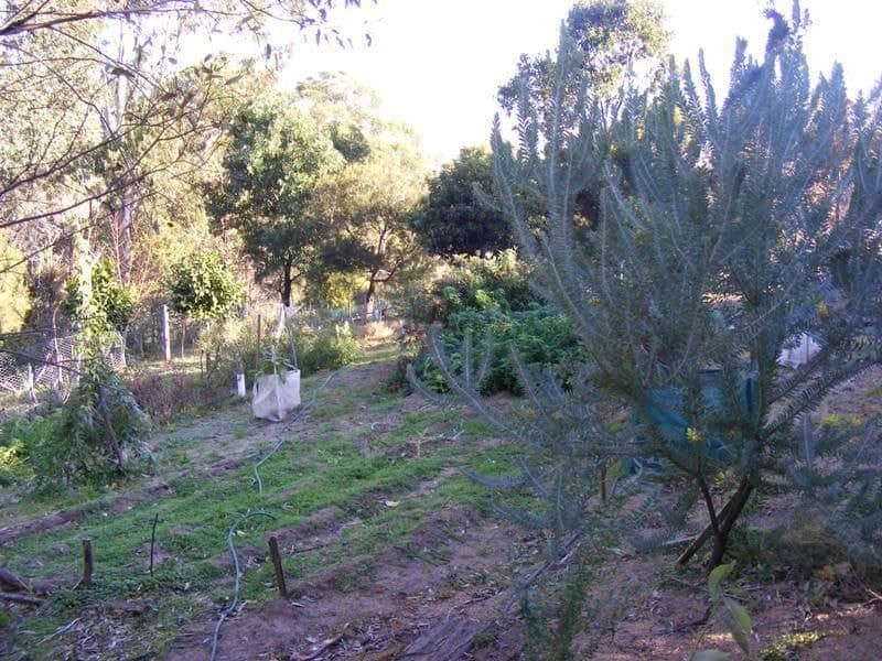 259 Black Range Road, Bega, Bega - Image 1