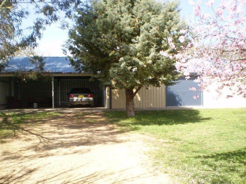25 North Boyd Street, NIMMITABEL, Nimmitabel - Thumbnail 4