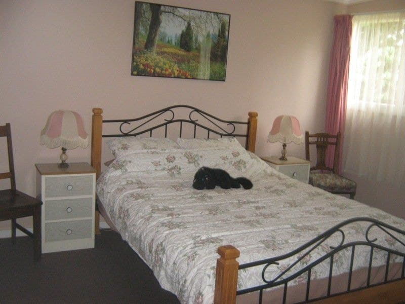 22 Massie Street, COOMA, Cooma - Thumbnail 6