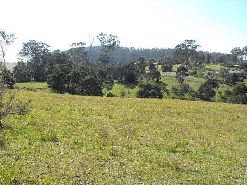 259 Bald Hills Road Bald Hills NSW, Bald Hills - Image 1