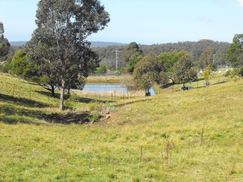 259 Bald Hills Road Bald Hills NSW, Bald Hills - Thumbnail 2