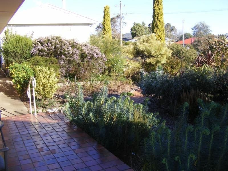 32 Glebe Avenue, Bega, Bega - Thumbnail 2