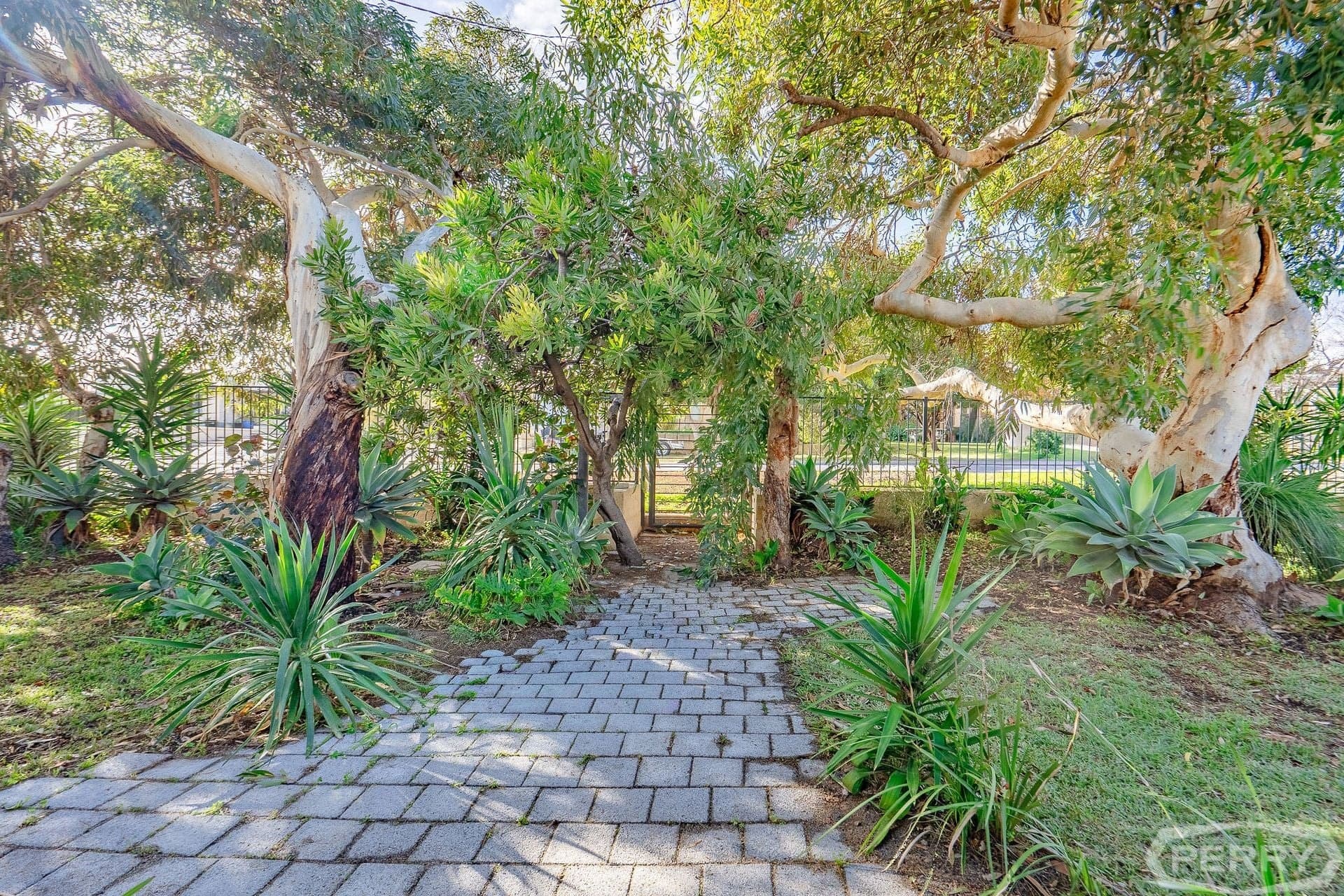 3 Hazelmere Drive, Dawesville, Dawesville - Thumbnail 6