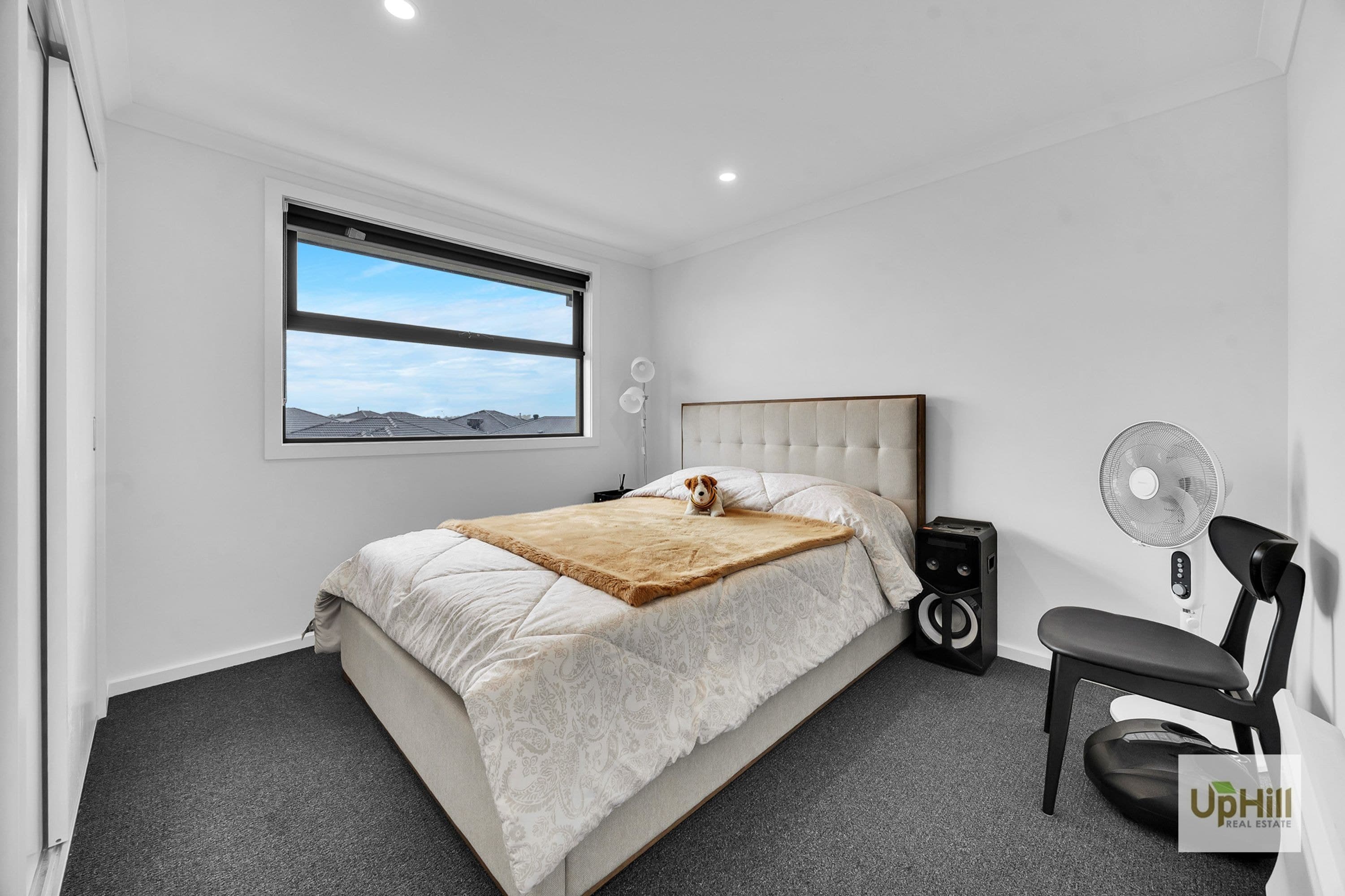 24 Montagna Dr, Clyde - Thumbnail 8