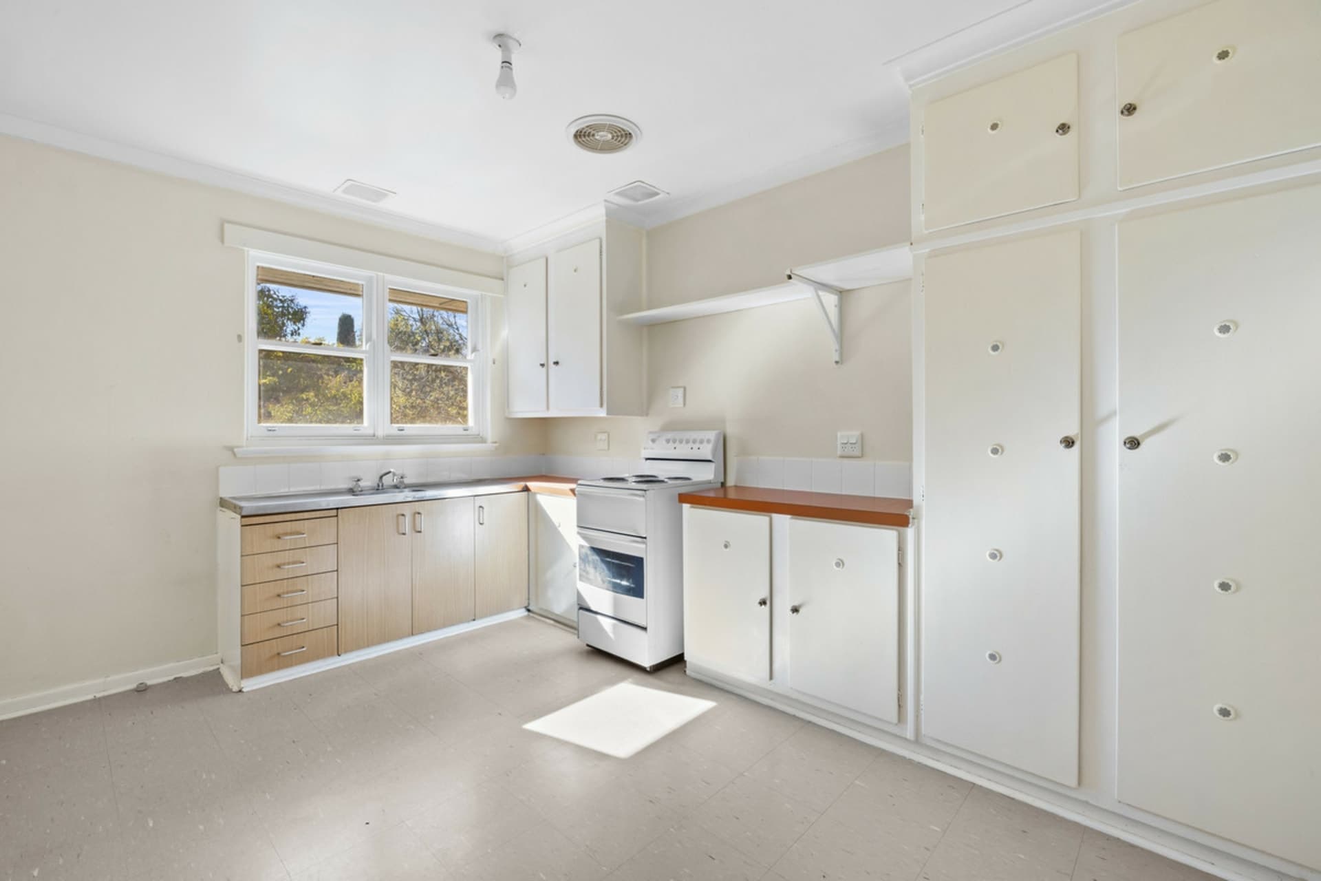 1 Gormanston Crescent, Deakin, Deakin - Thumbnail 6