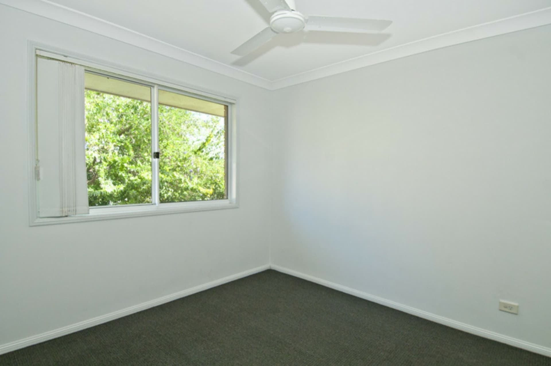 7 Wolvesey Court Ormeau QLD, Ormeau - Thumbnail 6