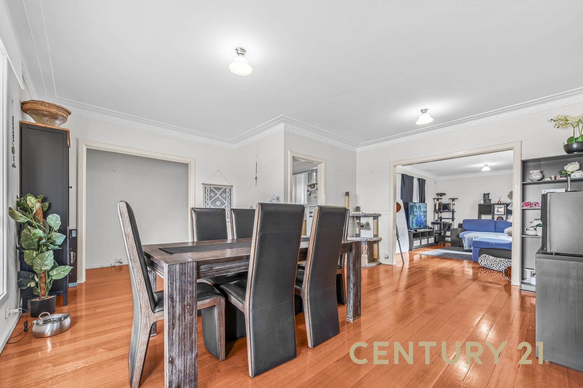 2 Helen Court, Noble Park, VIC, 3174, Noble Park - Thumbnail 5