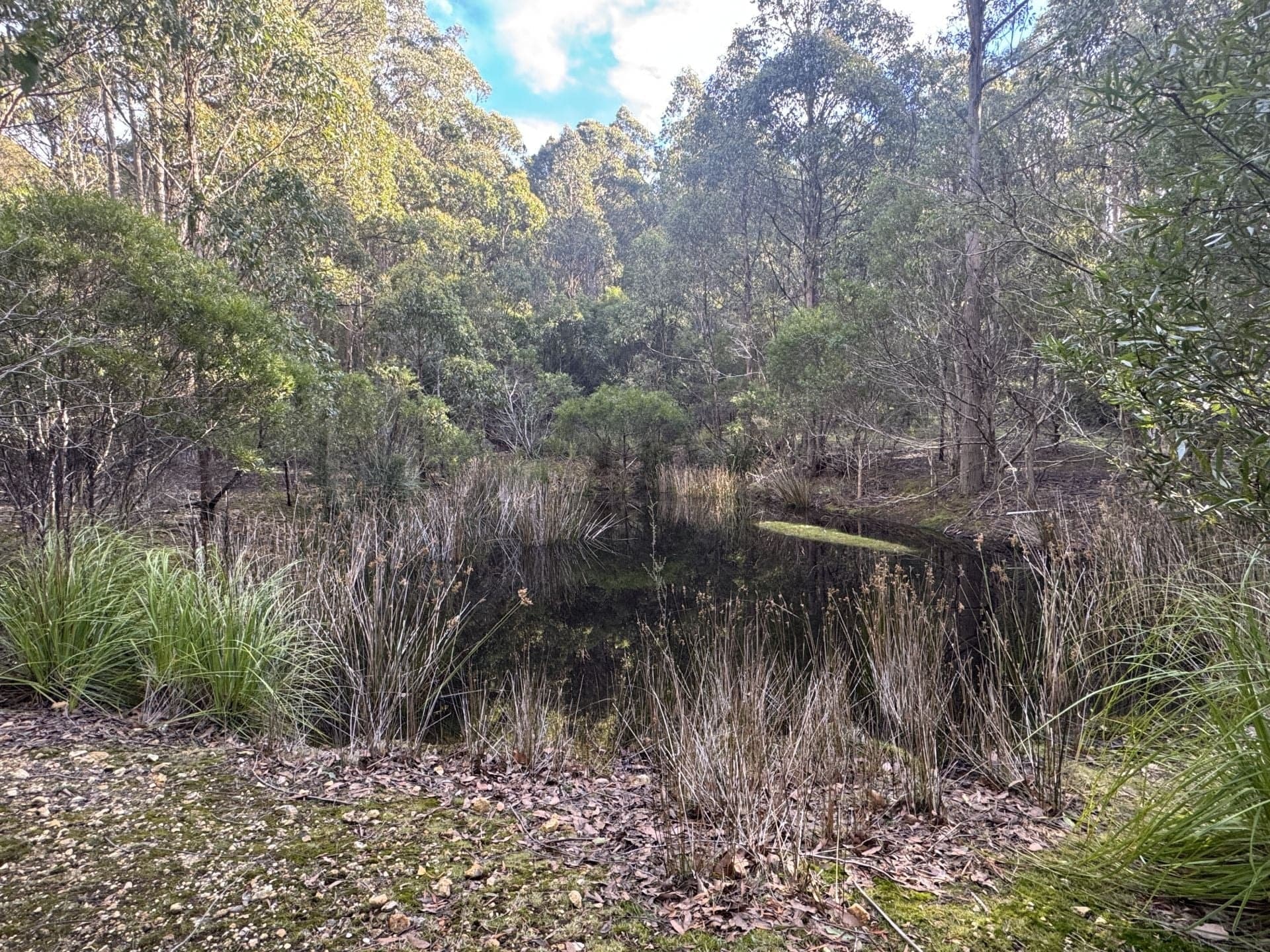 482 Nierinna Road, Margate, Margate - Thumbnail 3