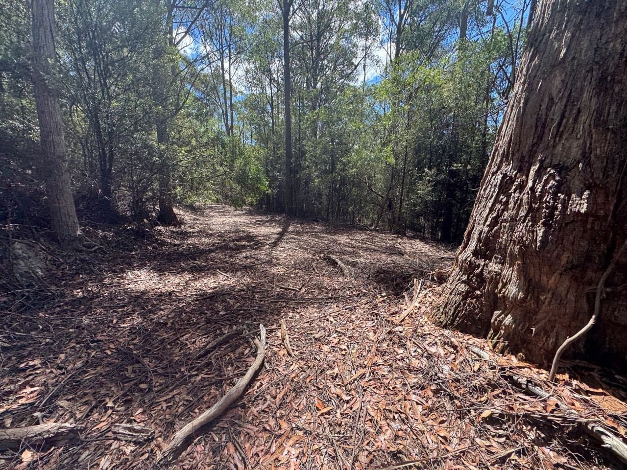 482 Nierinna Road, Margate, Margate - Thumbnail 5