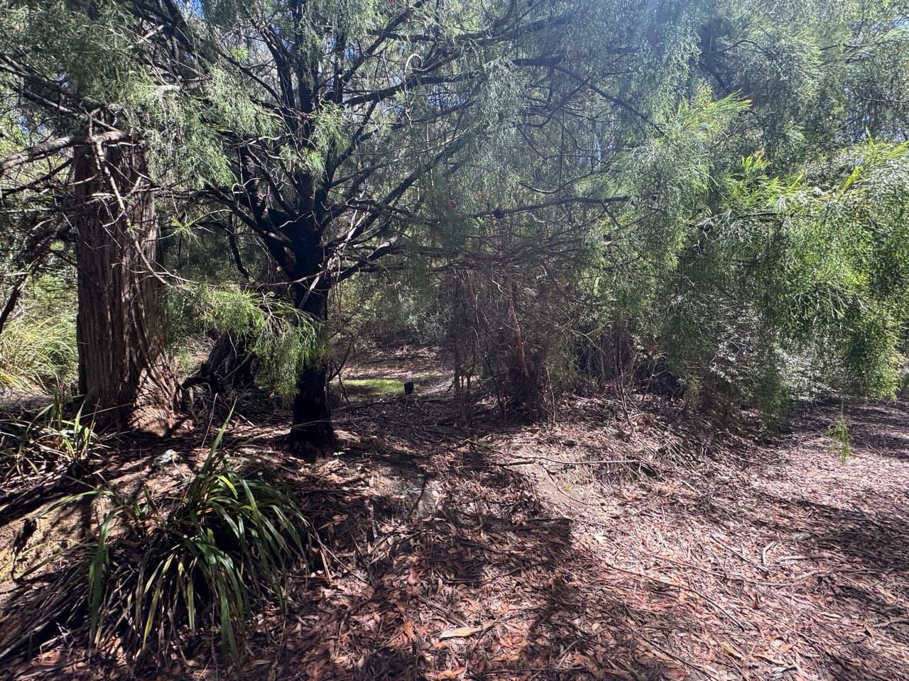 482 Nierinna Road, Margate, Margate - Thumbnail 7