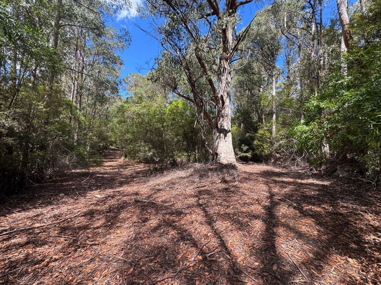 482 Nierinna Road, Margate, Margate - Thumbnail 8