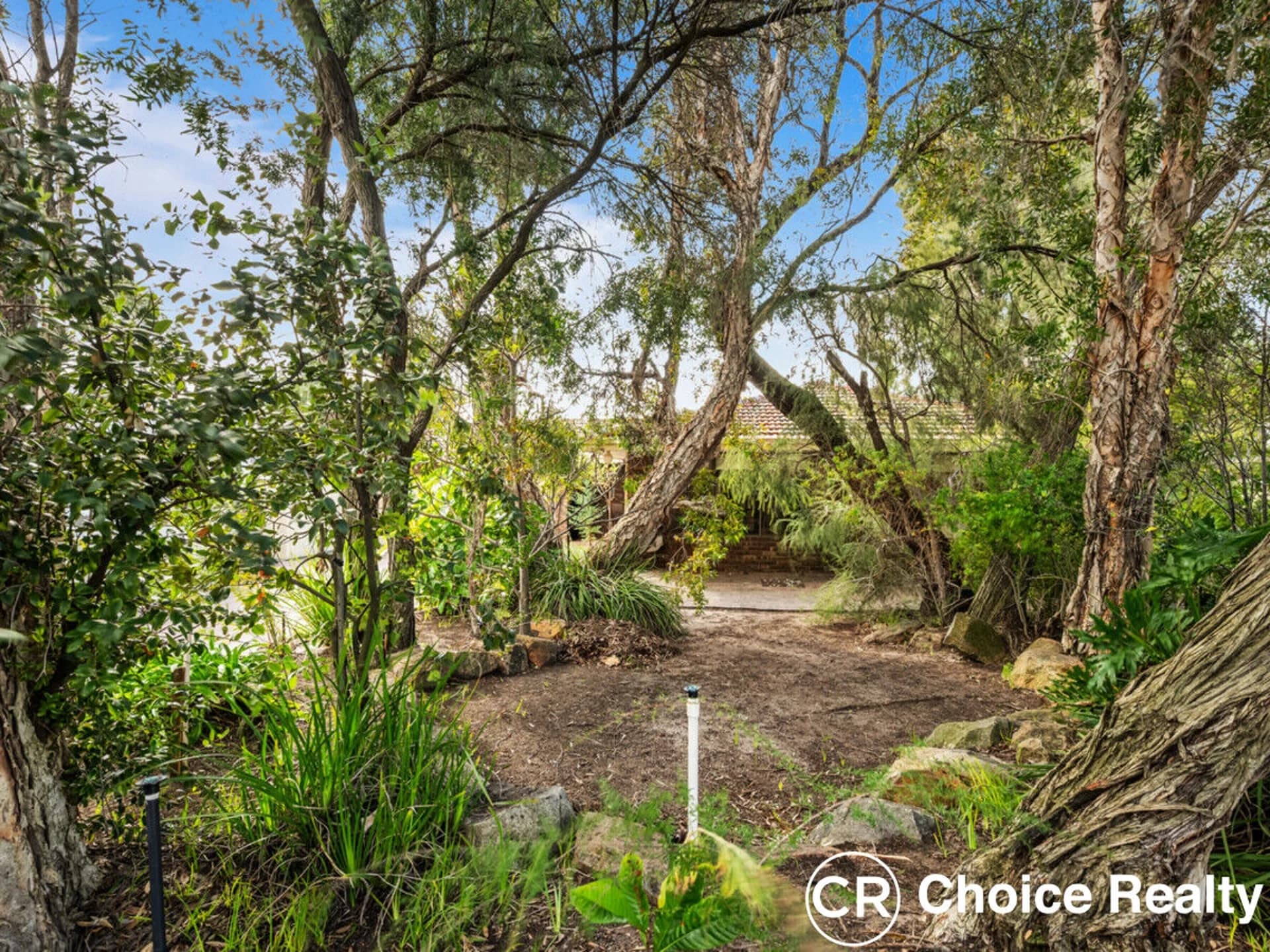 13 Bennett Court, Leeming WA 6149, Leeming - Thumbnail 3