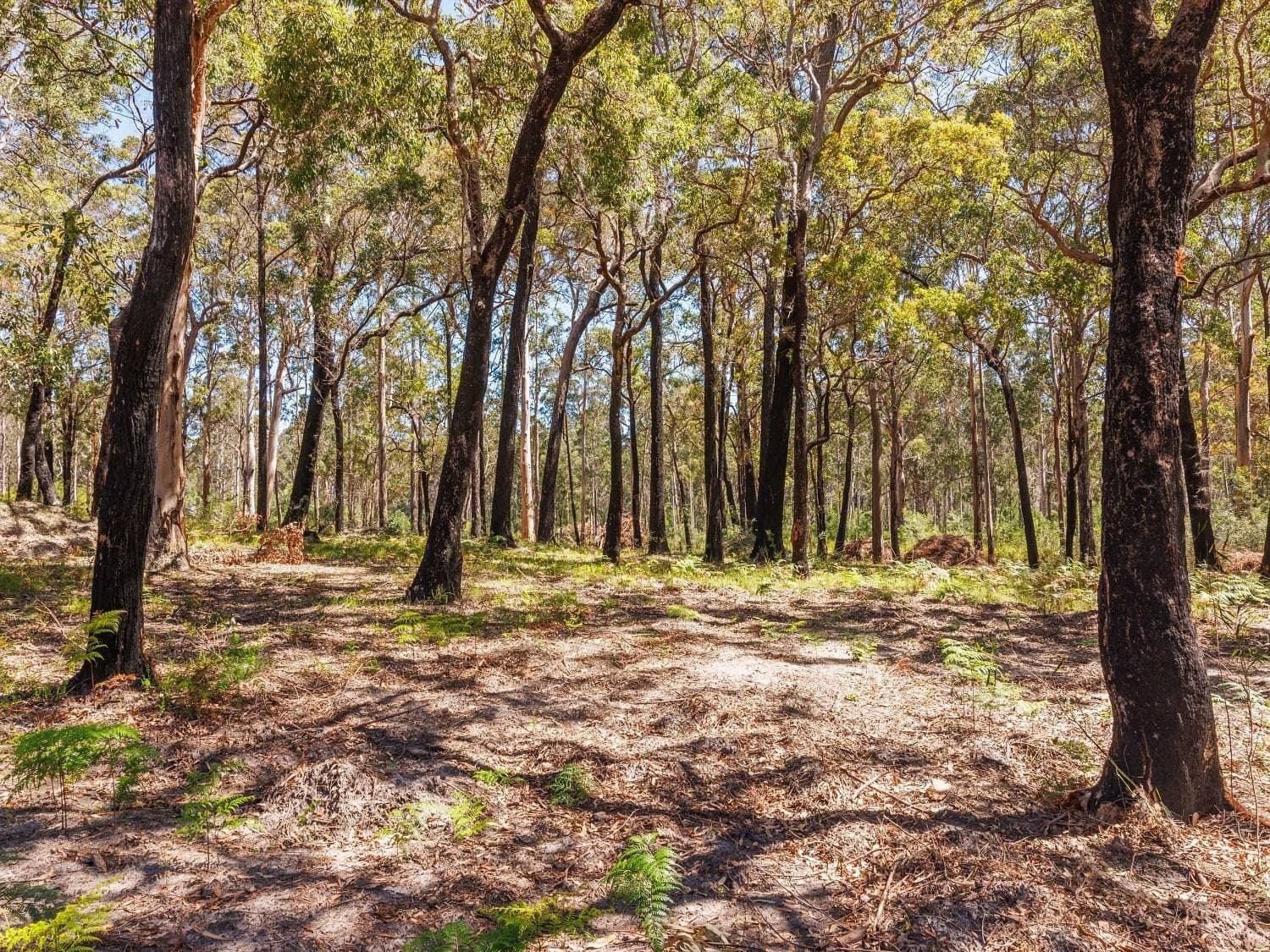 72 Wonboyn Rd, Wonboyn VIA, Eden, Eden - Image 1