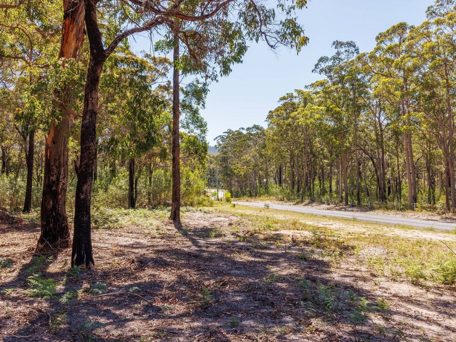 72 Wonboyn Rd, Wonboyn VIA, Eden, Eden - Thumbnail 3