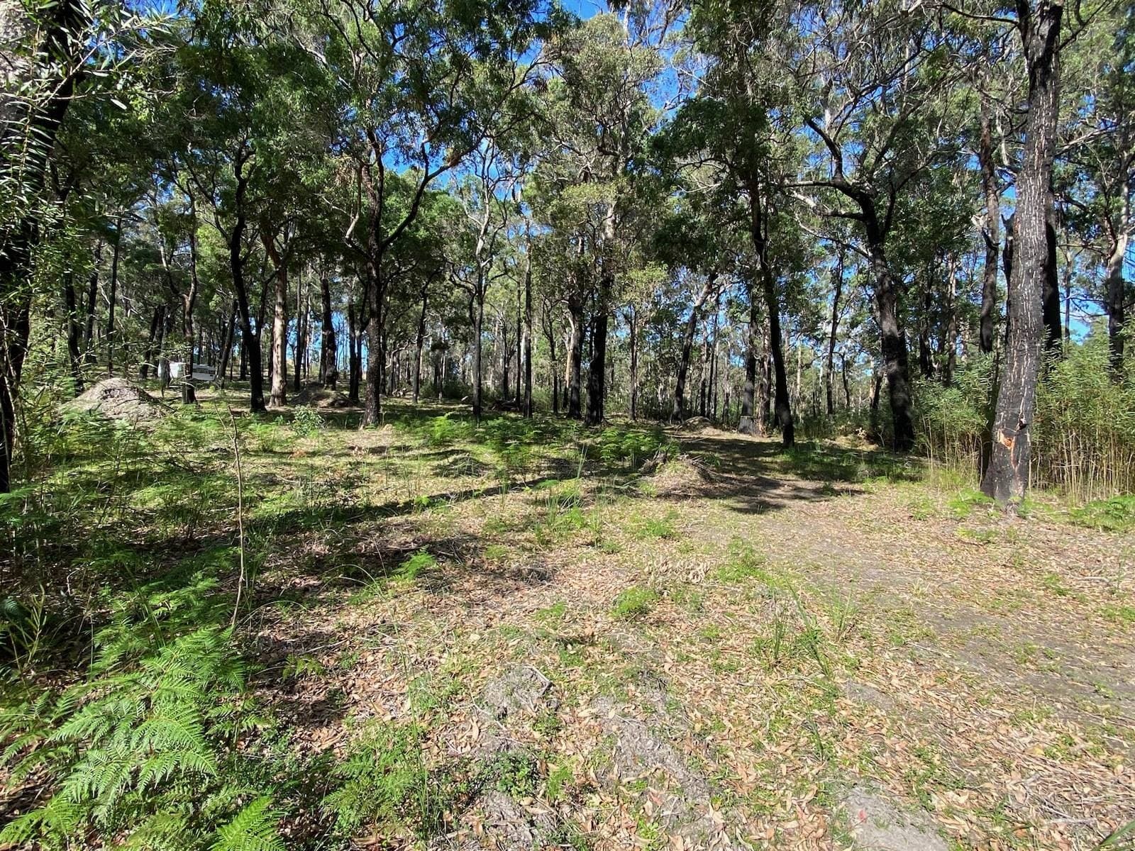 72 Wonboyn Rd, Wonboyn VIA, Eden, Eden - Thumbnail 4