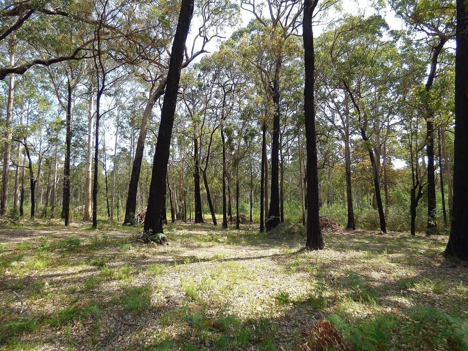 72 Wonboyn Rd, Wonboyn VIA, Eden, Eden - Thumbnail 7