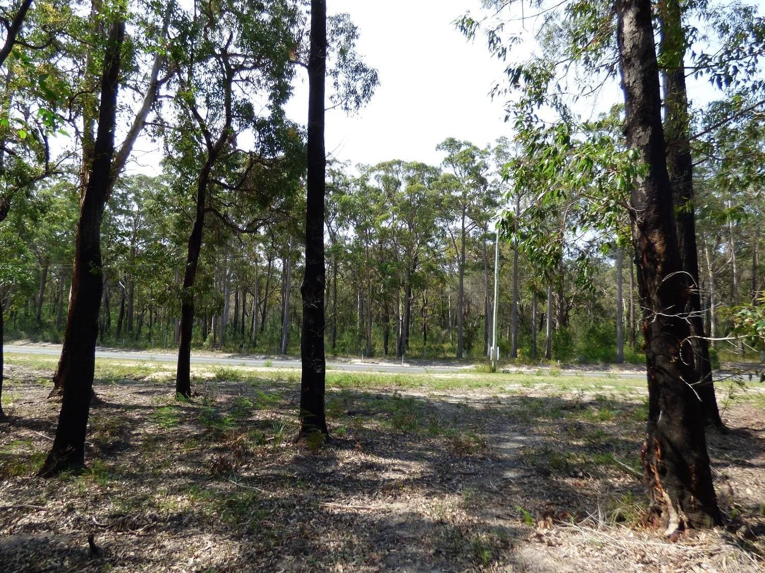 72 Wonboyn Rd, Wonboyn VIA, Eden, Eden - Thumbnail 8