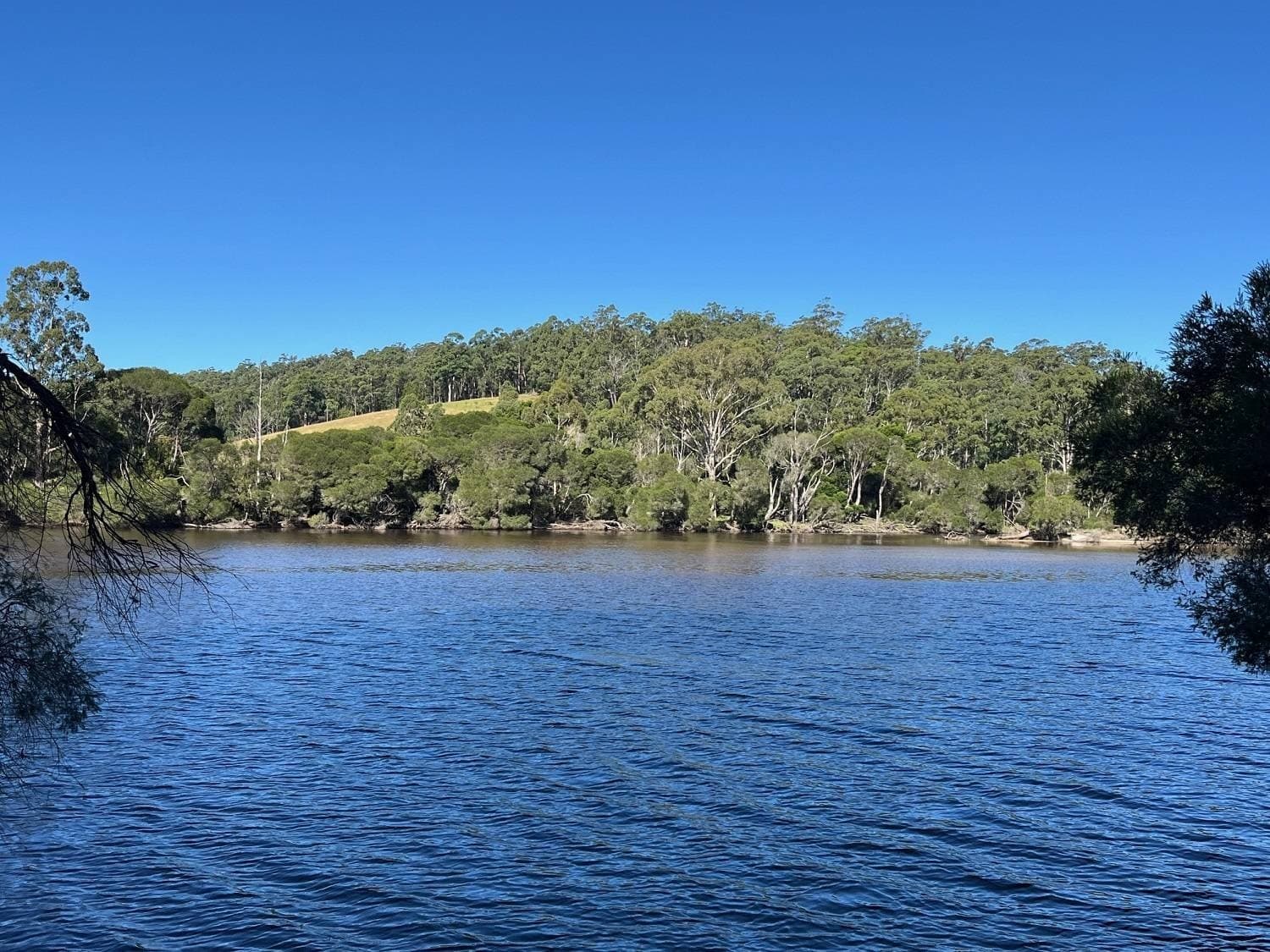 20 Peisleys Rd, GENOA Via, Mallacoota, Mallacoota - Image 1